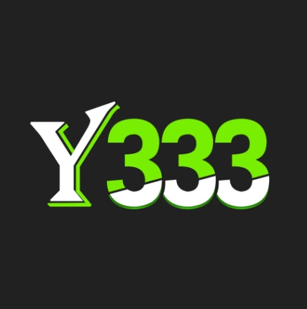 Y333 Game